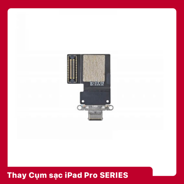 Thay Cụm Sạc | Mic iPad Pro